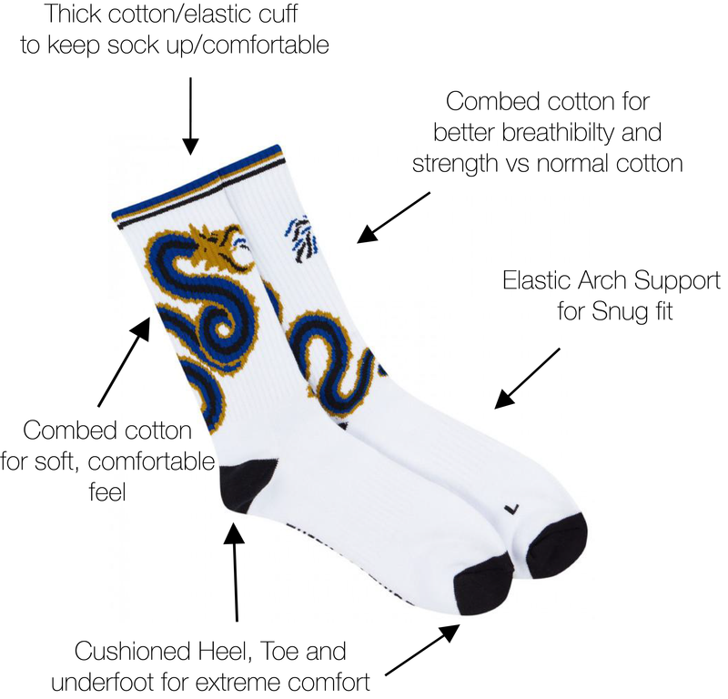 Inter Milan 10/11 Away Socks