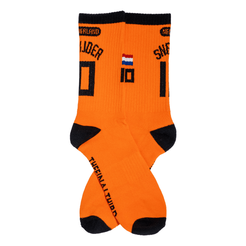 the-final-third-fifa-world-cup-football-socks-holland-back-image-wesley-sneijder
